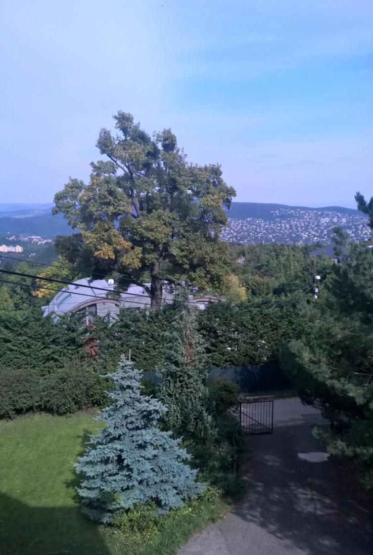 Romantic Two Bedroom Apartments In The Hills Of Budapest With Private Parking Экстерьер фото